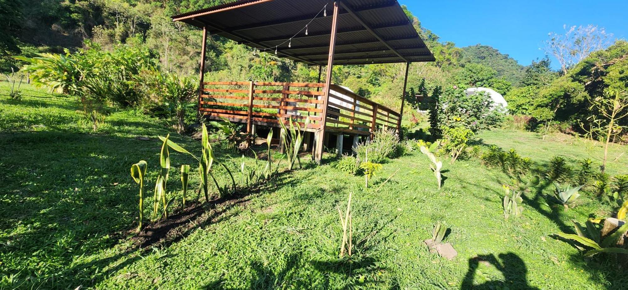 Glamping Monteverde Екстериор снимка
