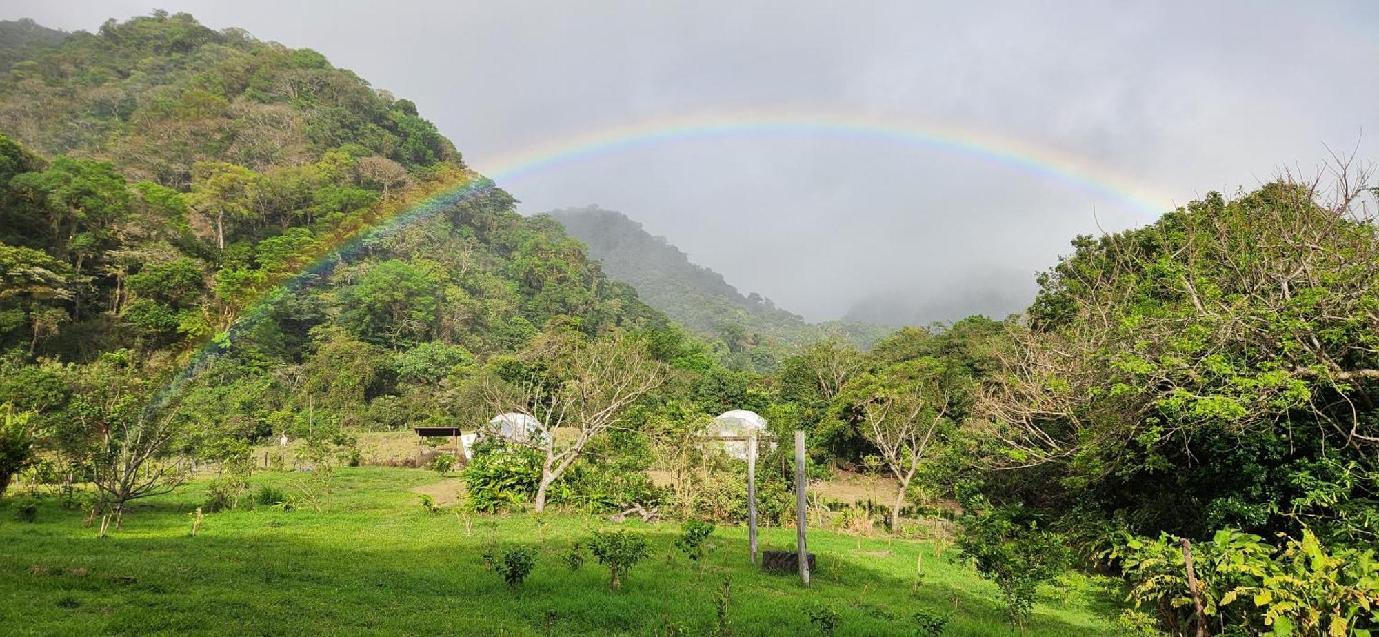 Glamping Monteverde Екстериор снимка