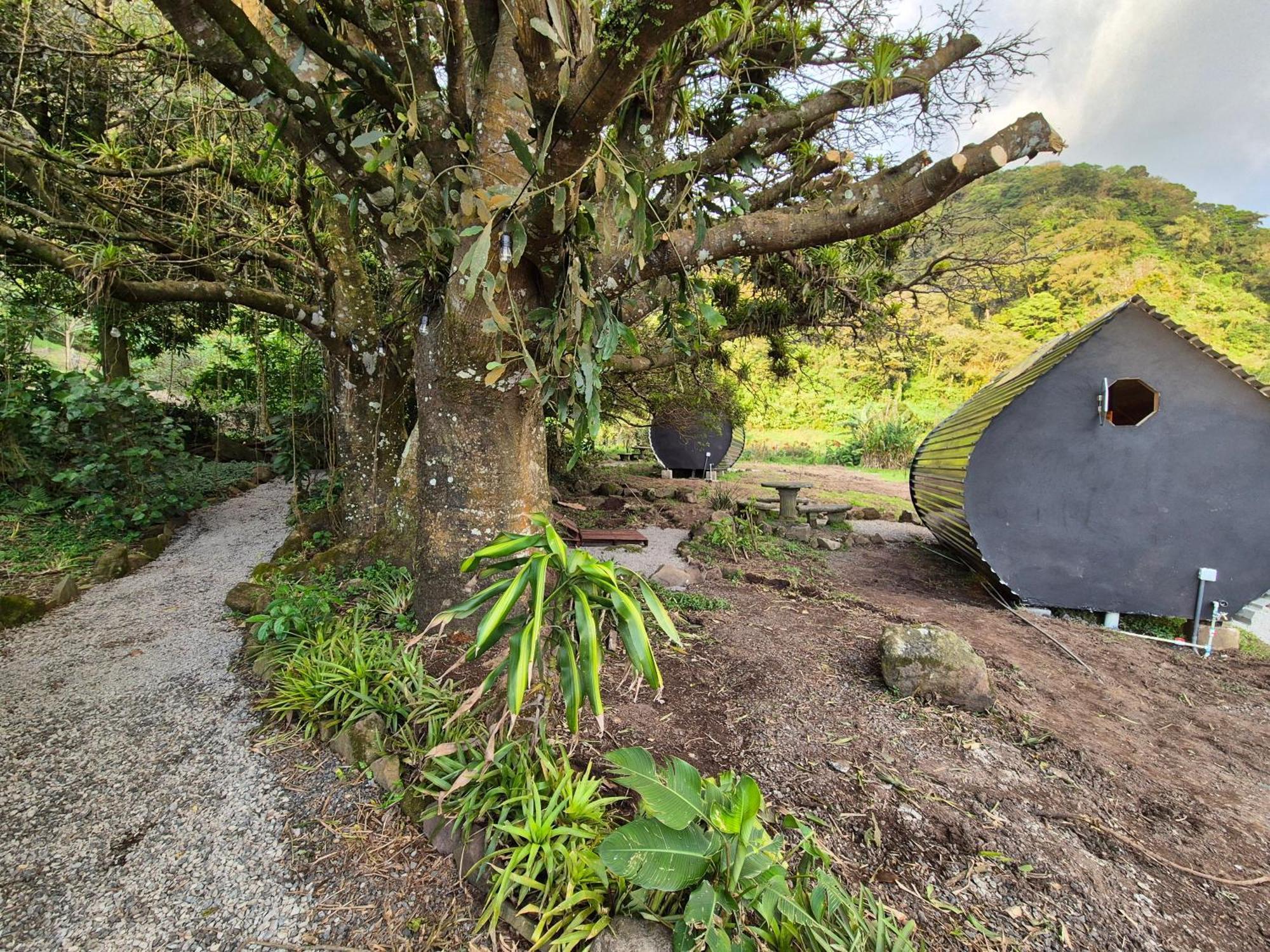 Glamping Monteverde Екстериор снимка